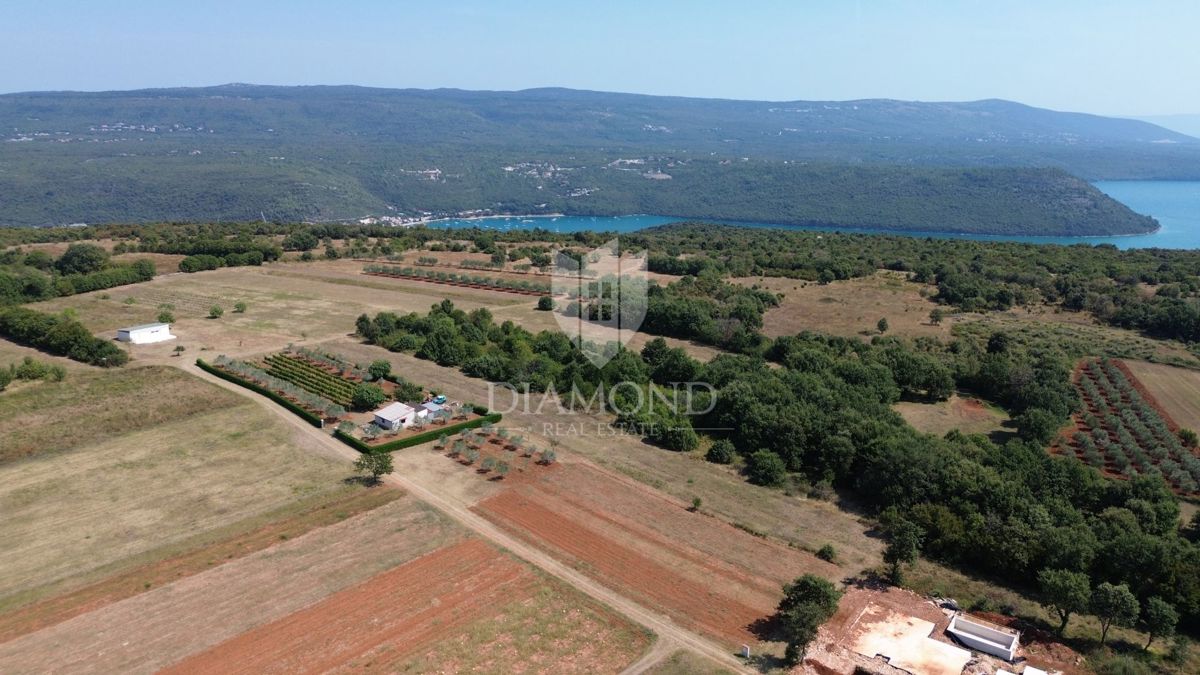 Barban, gradbena parcela na atraktivni lokaciji