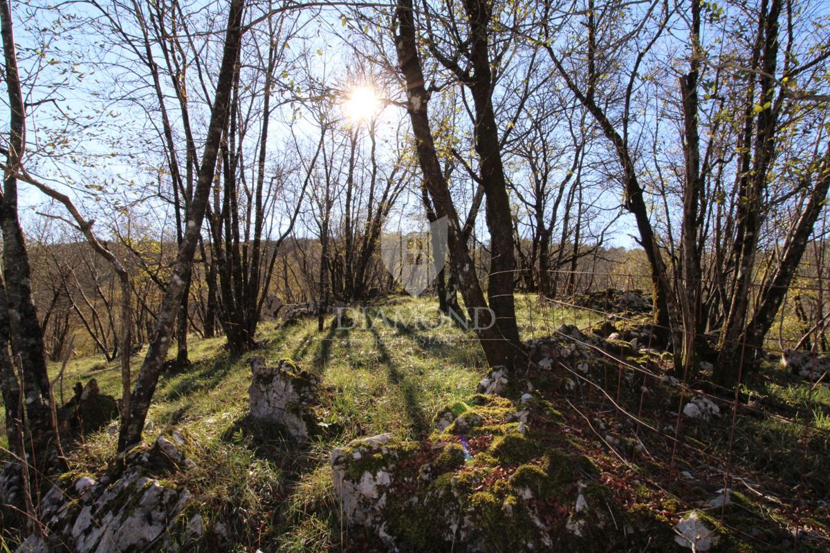 Zemljišče Klana, 2.506m2