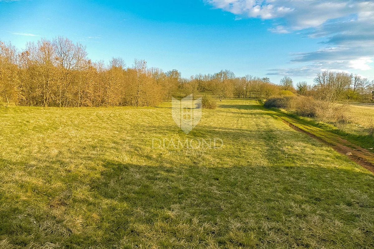 Svetvinčenat, okolica, zemljišče za ekstra luksuzno vilo