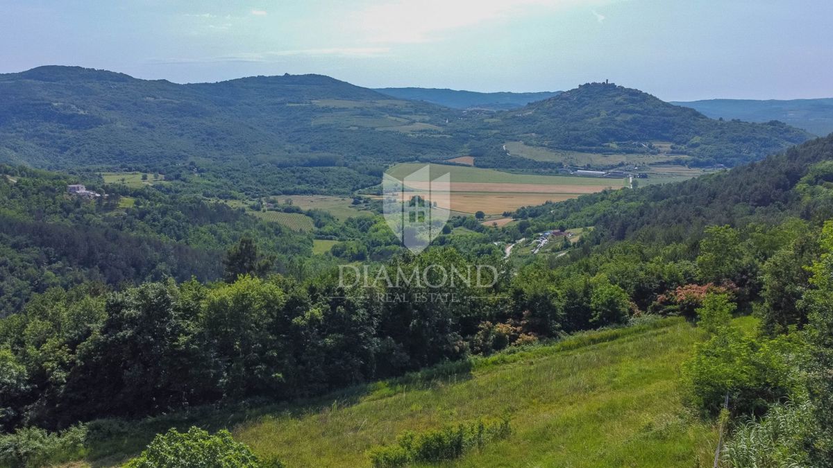 Istra, Motovun, okolica zemljišće z gradbenim dovoljenjem!