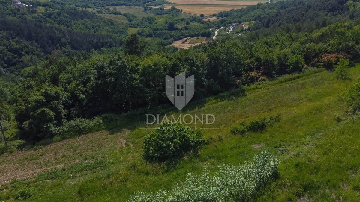 Istra, Motovun, okolica zemljišće z gradbenim dovoljenjem!
