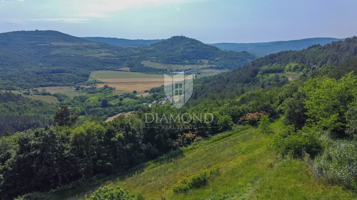 Istra, Motovun, okolica zemljišće z gradbenim dovoljenjem!