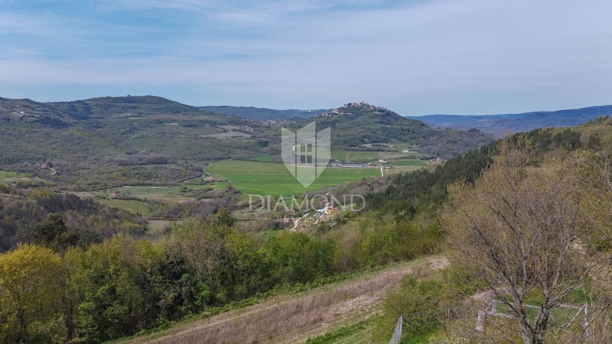 Istra, Motovun, okolica zemljišće z gradbenim dovoljenjem!