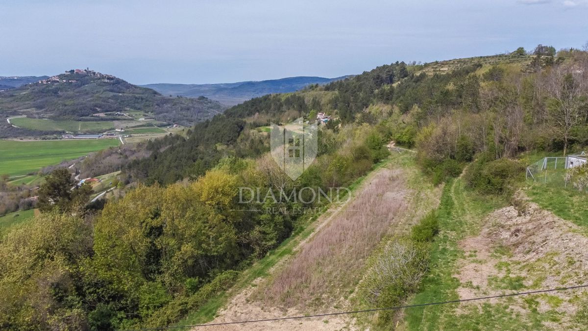 Istra, Motovun, okolica zemljišće z gradbenim dovoljenjem!