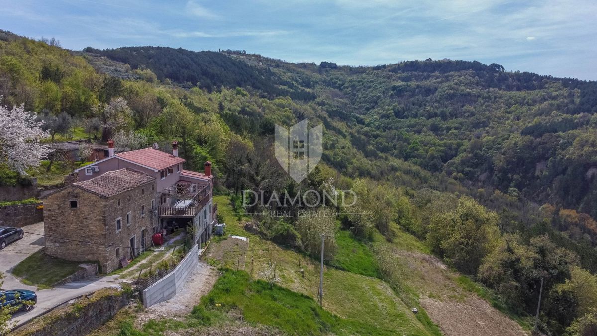 Istra, Motovun, okolica zemljišće z gradbenim dovoljenjem!