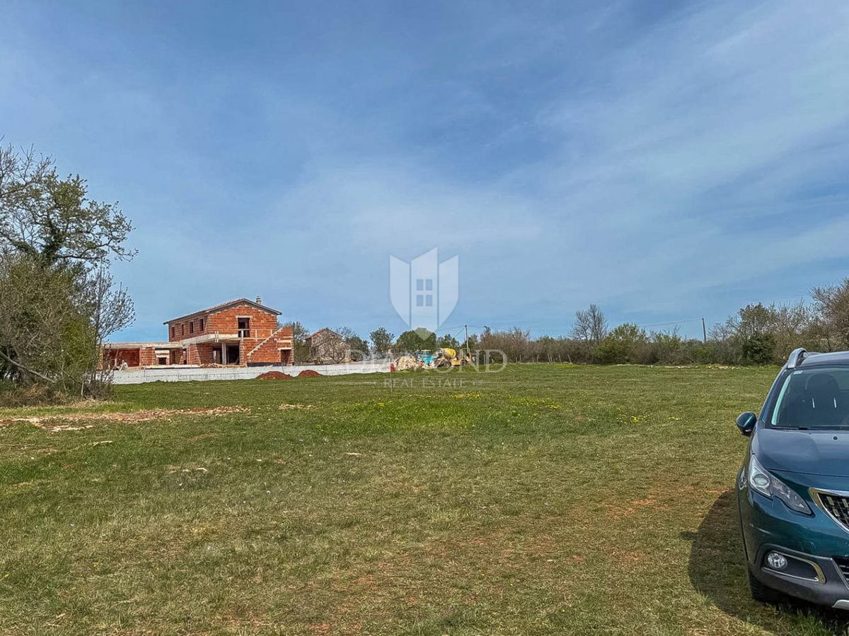 Istra, Novigrad, okolica - oljčnik na robu gradbenega območja!