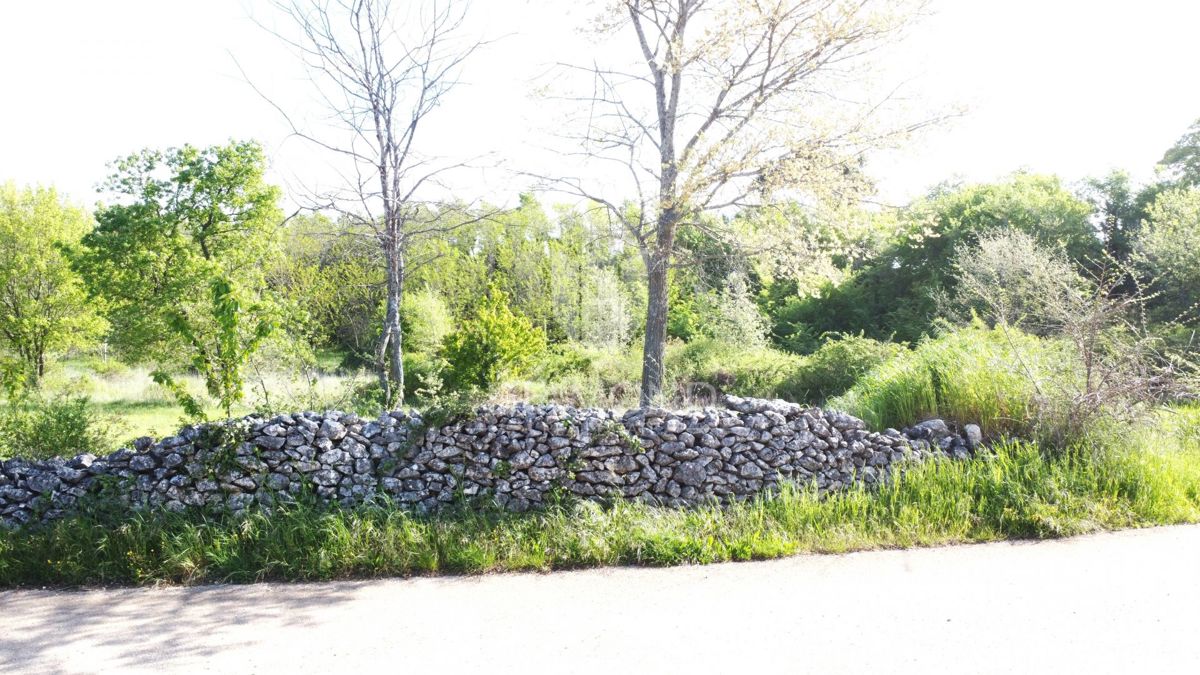 Poreč – Okolica – Gradbena Parcela na Čudoviti Lokaciji