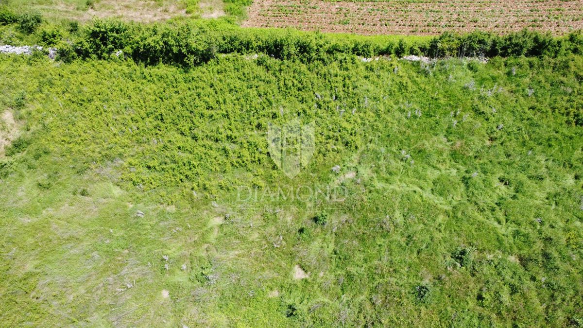 Poreč - okolica - Odlično gradbeno zemljišče 1090 m² s projektom in dovoljenjem