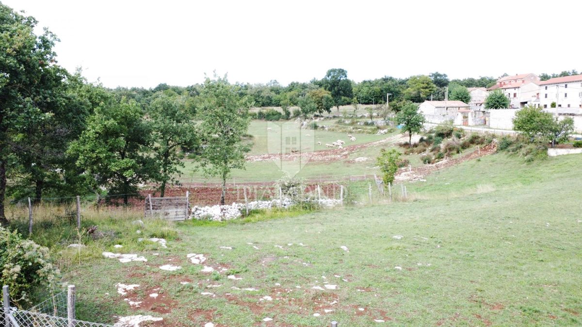 Sv. Lovreč – zemljišče 943 m² za gradnjo vile z bazenom