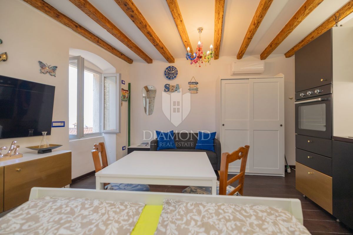 Garsonjera z Shrambo, Center, Razgled na Morje