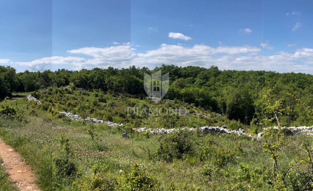 Gradbeno zemljišče s projektom v bližini Vodnjana