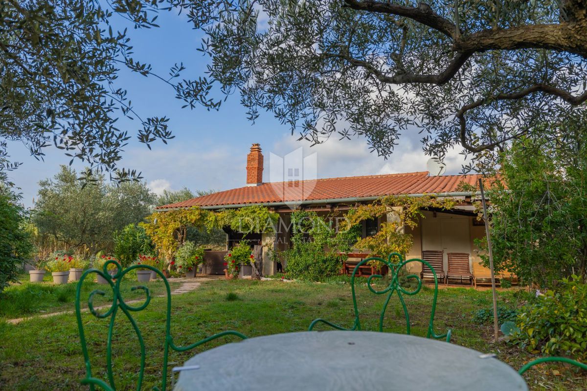 DIAMANT v Rovinju, pritlična hiša z ogromnim zemljiščem blizu morja