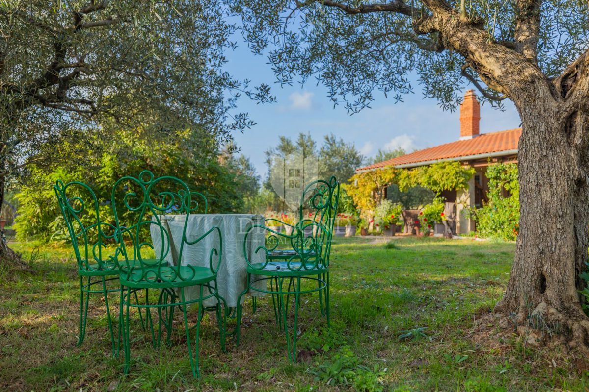 DIAMANT v Rovinju, pritlična hiša z ogromnim zemljiščem blizu morja