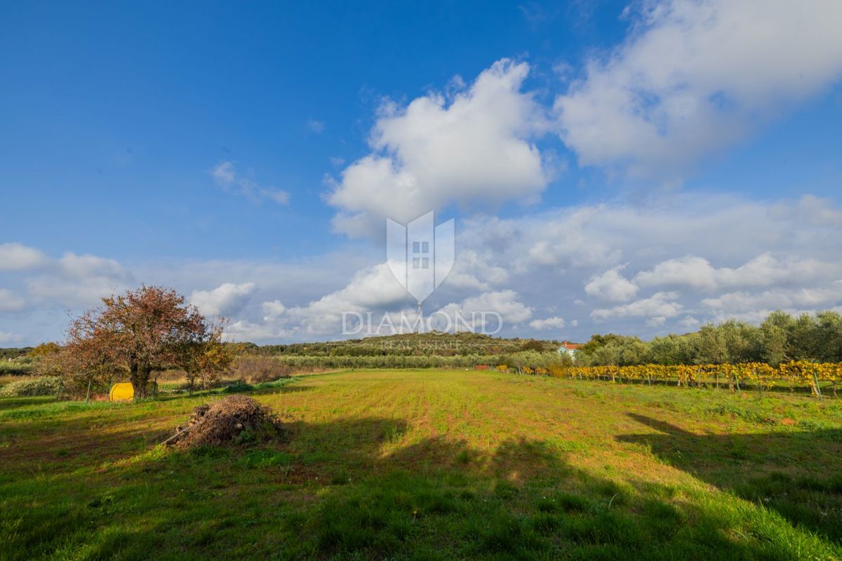 DIAMANT v Rovinju, pritlična hiša z ogromnim zemljiščem blizu morja