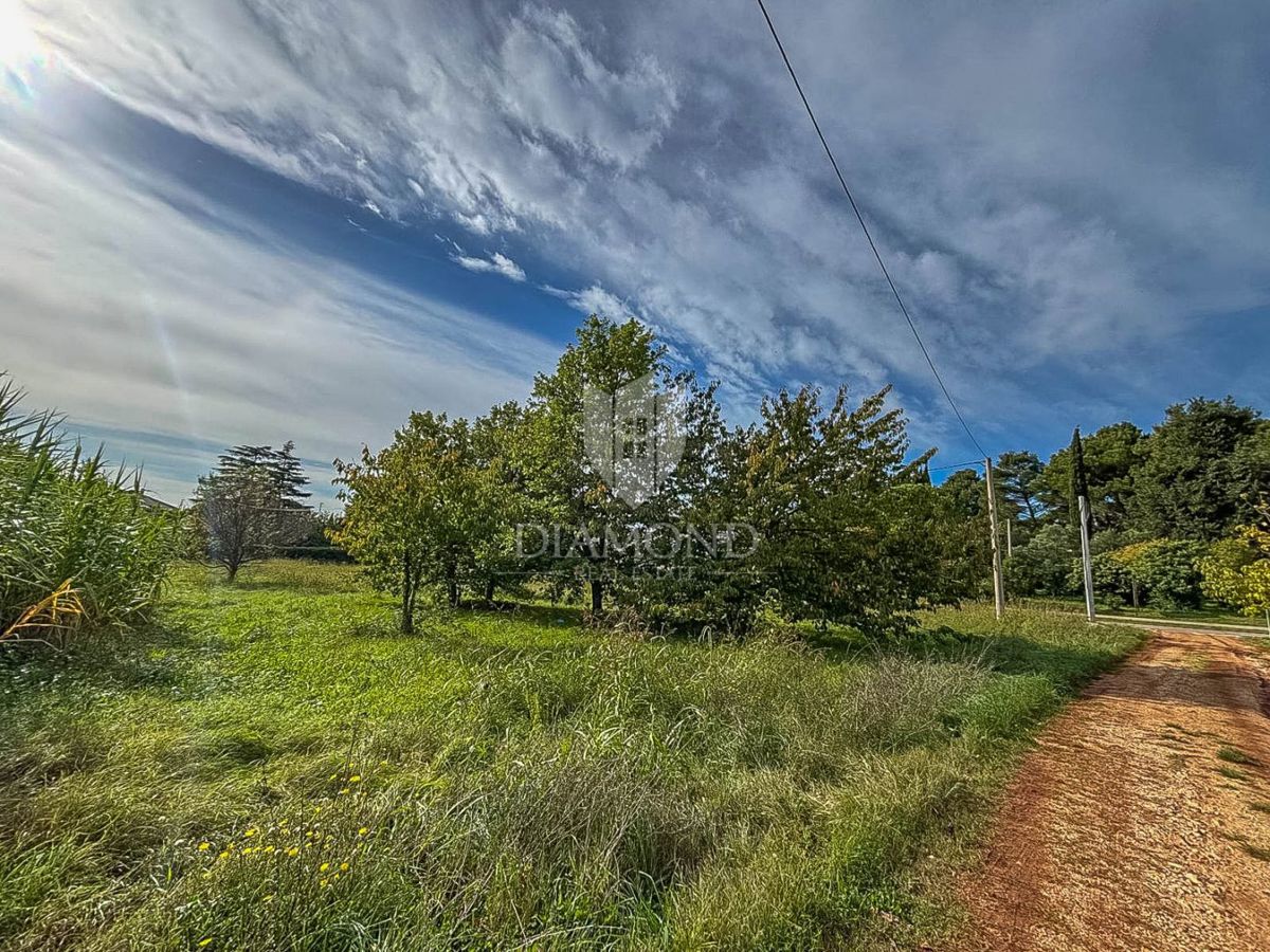 Ekskluzivno! Novigrad, zemljišče na izjemni lokaciji!