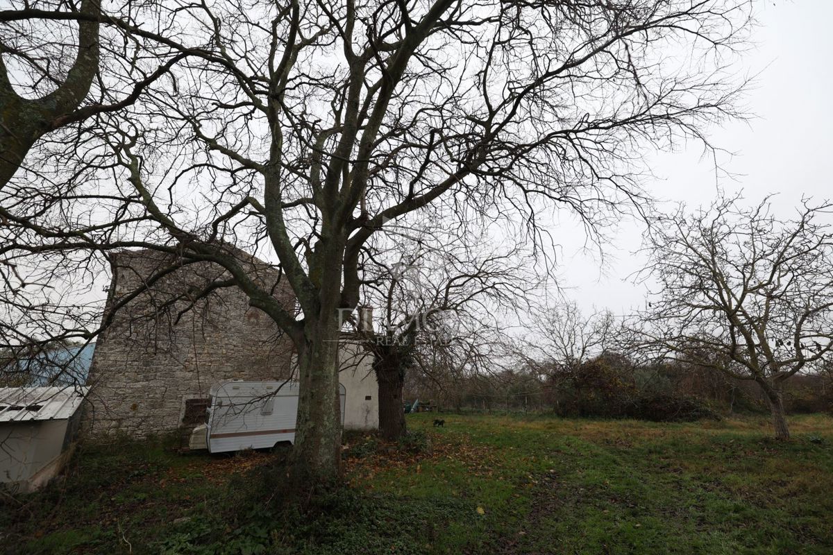 Bale, okolica, kamnita hiša za adaptacijo z velikim dvoriščem