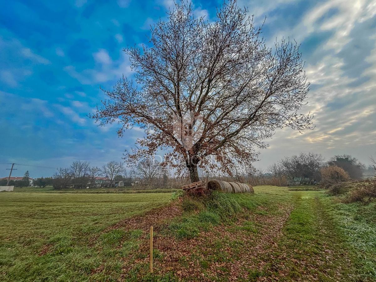 Umag, okolica, čudovito gradbeno zemljišče!