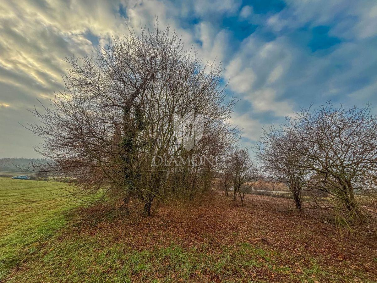 Umag, okolica, čudovito gradbeno zemljišče!