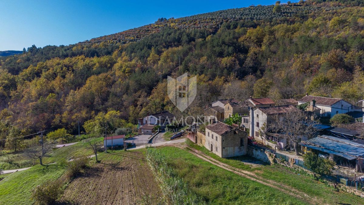 Motovun, okolica - kamnita hiša z veliko možnostmi!