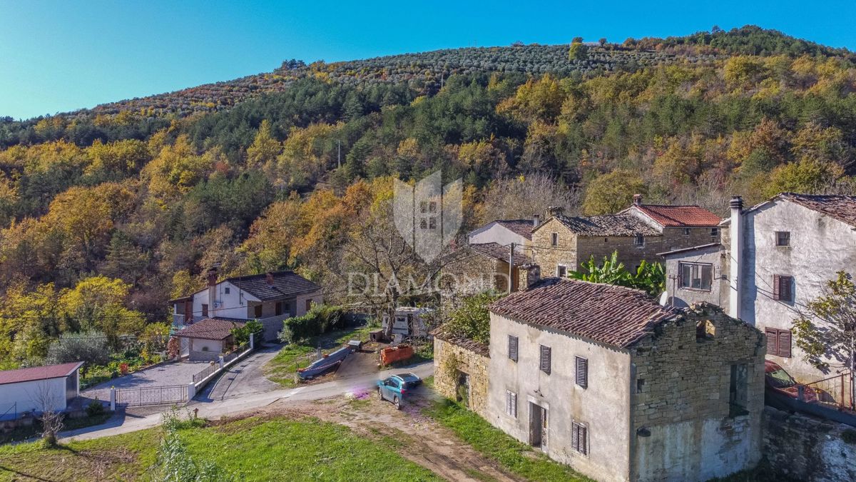 Motovun, okolica - kamnita hiša z veliko možnostmi!