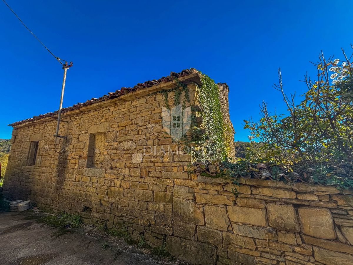 Motovun, okolica - kamnita hiša z veliko možnostmi!