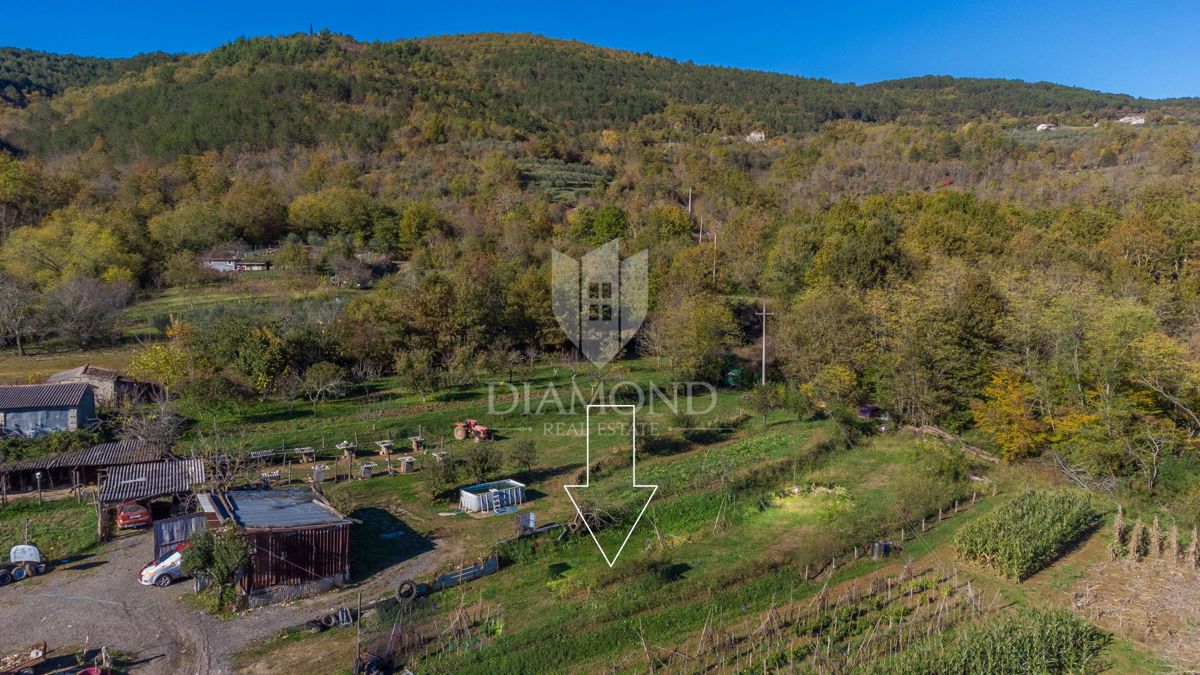 Motovun, okolica - kamnita hiša z veliko možnostmi!