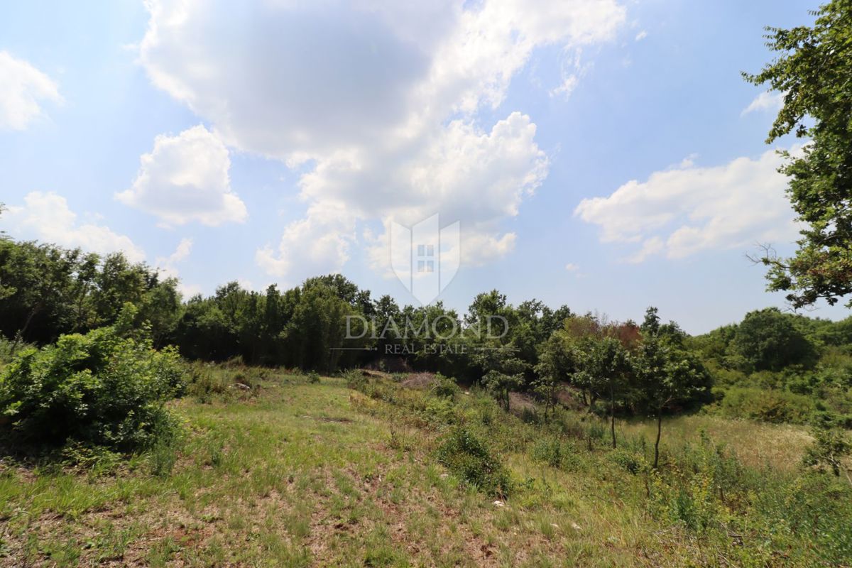 Zazidljivo zemljišče v središču majhne vasi blizu Žminja