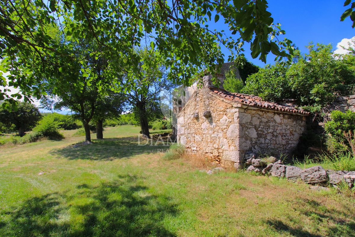 Labin, okolica, lepa posest s tremi objekti za obnovo