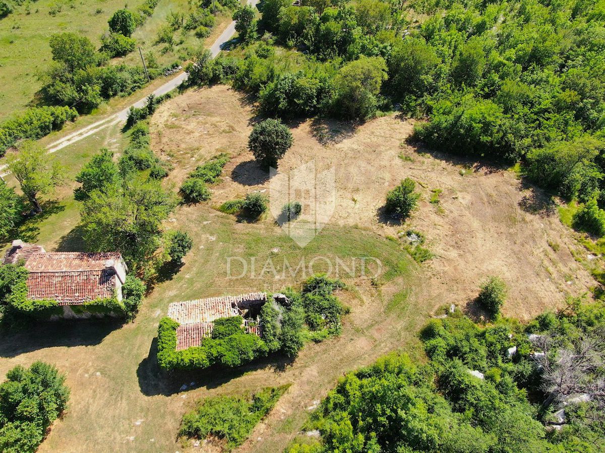 Labin, okolica, lepa posest s tremi objekti za obnovo
