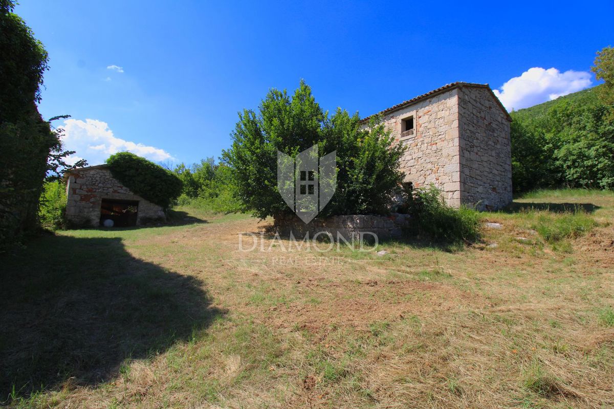 Labin, okolica, lepa posest s tremi objekti za obnovo