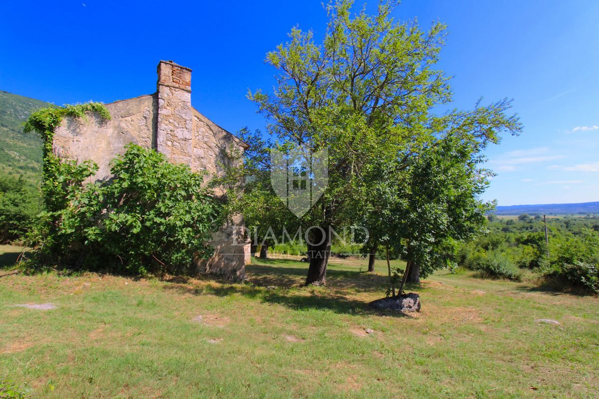 Labin, okolica, lepa posest s tremi objekti za obnovo