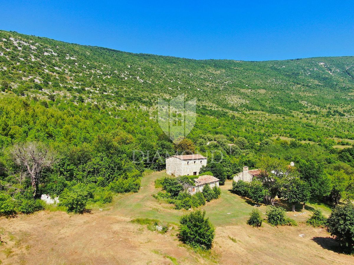 Labin, okolica, lepa posest s tremi objekti za obnovo