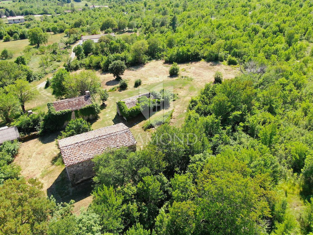 Labin, okolica, lepa posest s tremi objekti za obnovo