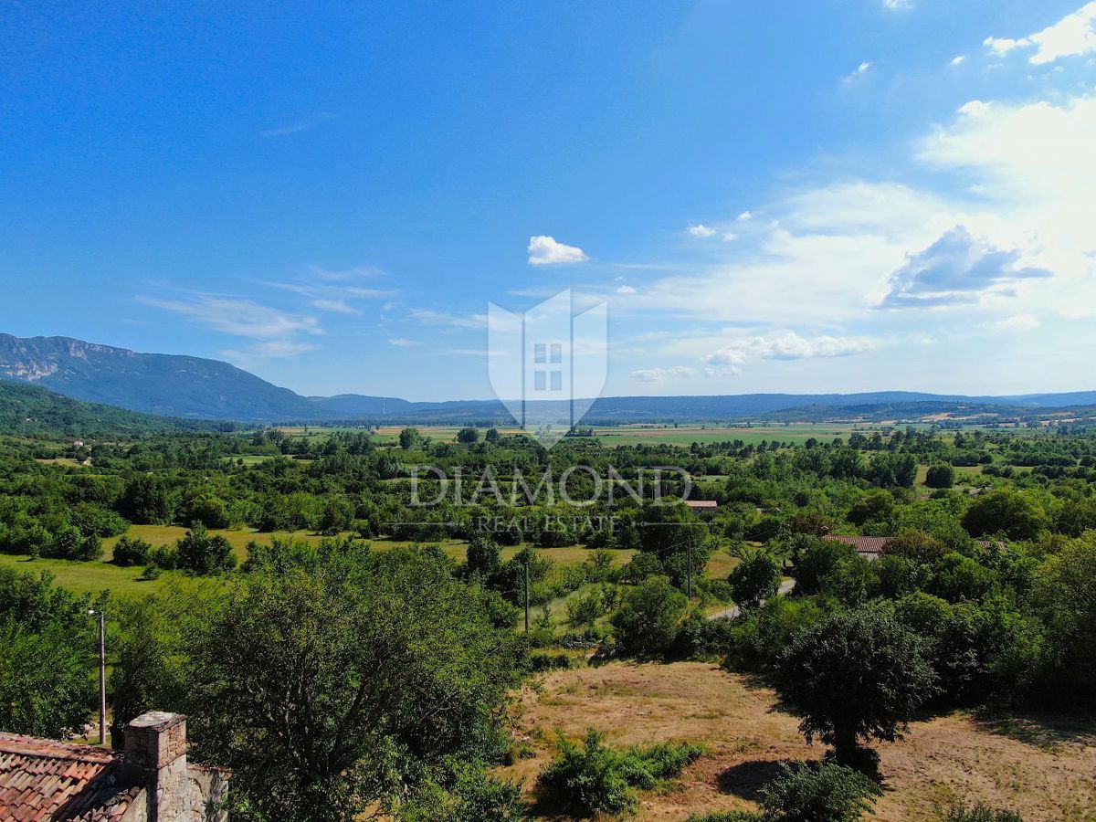 Labin, okolica, lepa posest s tremi objekti za obnovo