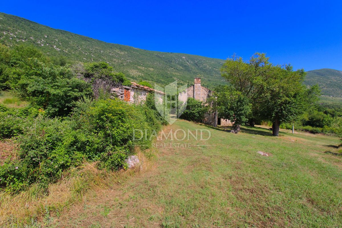 Labin, okolica, lepa posest s tremi objekti za obnovo