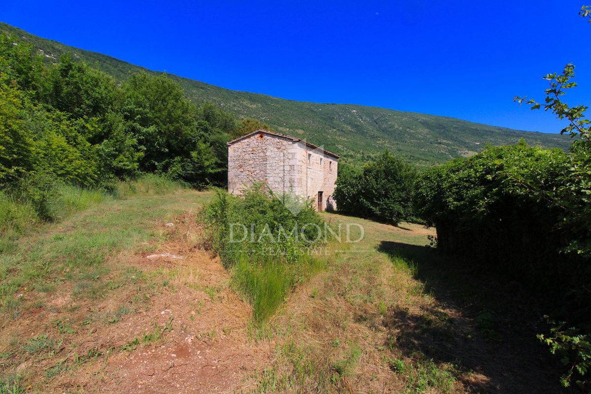 Labin, okolica, lepa posest s tremi objekti za obnovo