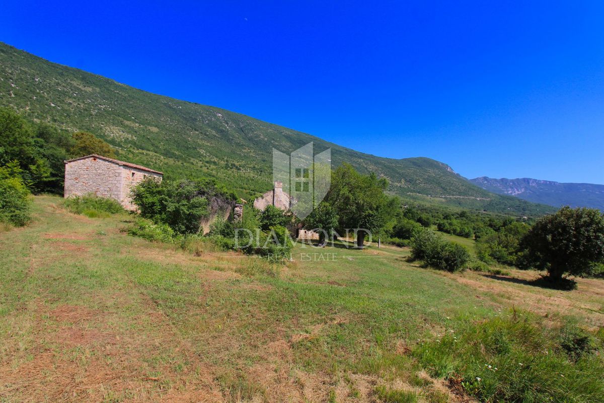 Labin, okolica, lepa posest s tremi objekti za obnovo
