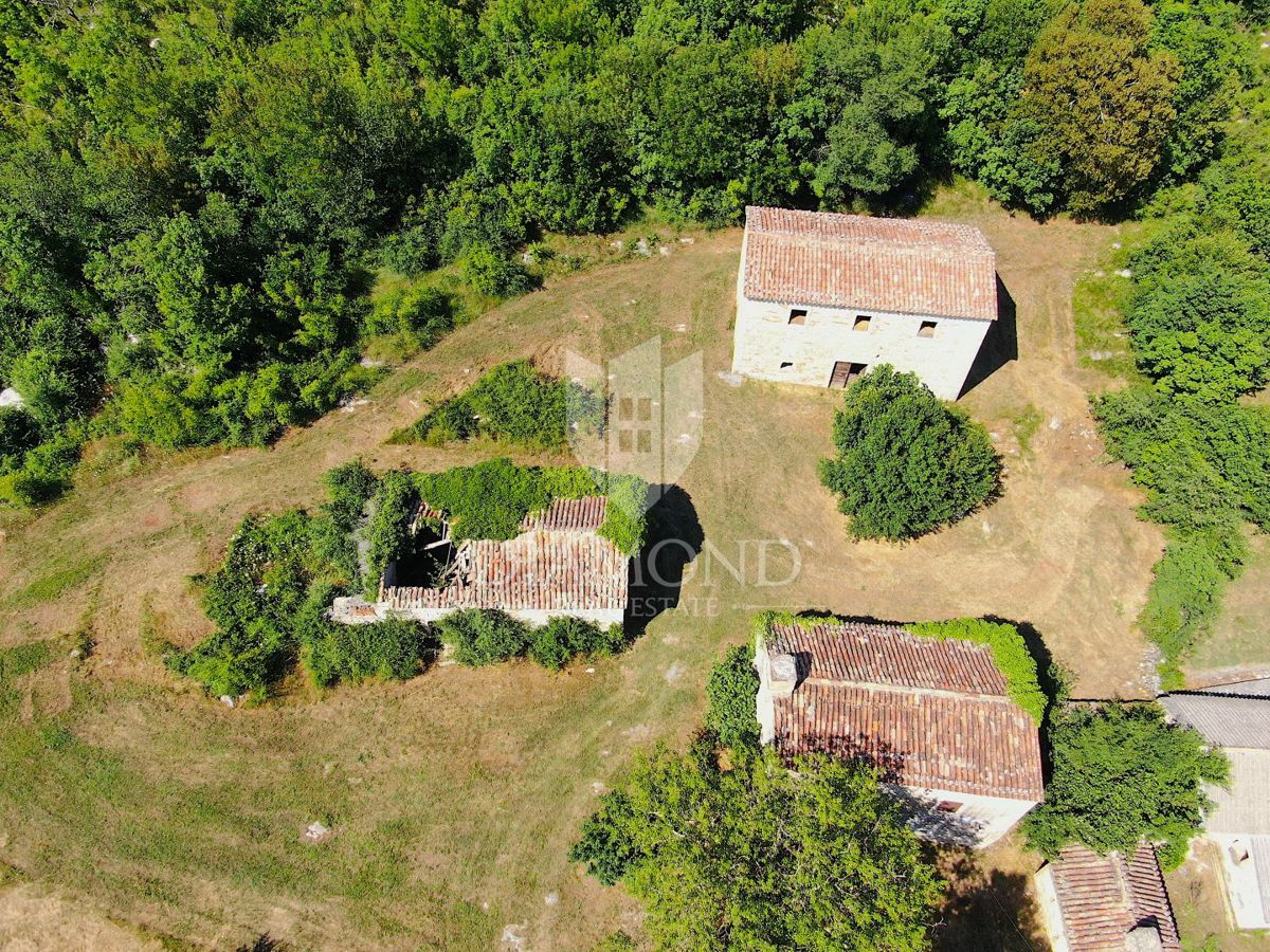 Labin, okolica, lepa posest s tremi objekti za obnovo