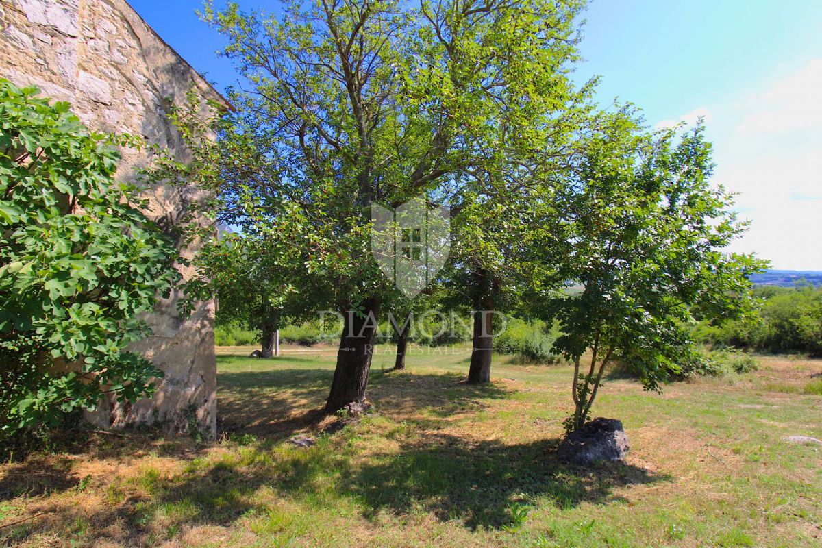 Labin, okolica, lepa posest s tremi objekti za obnovo