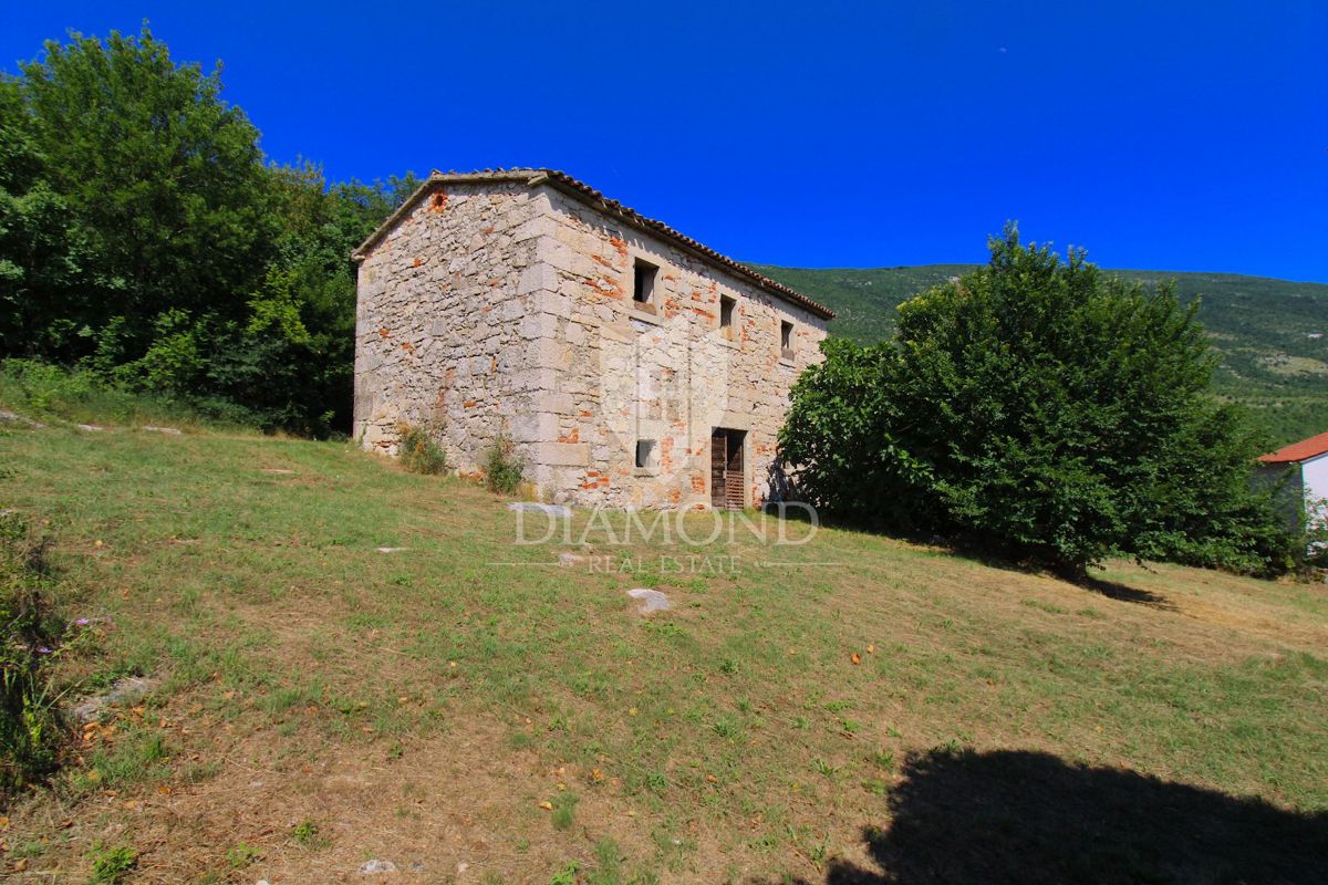 Labin, okolica, lepa posest s tremi objekti za obnovo