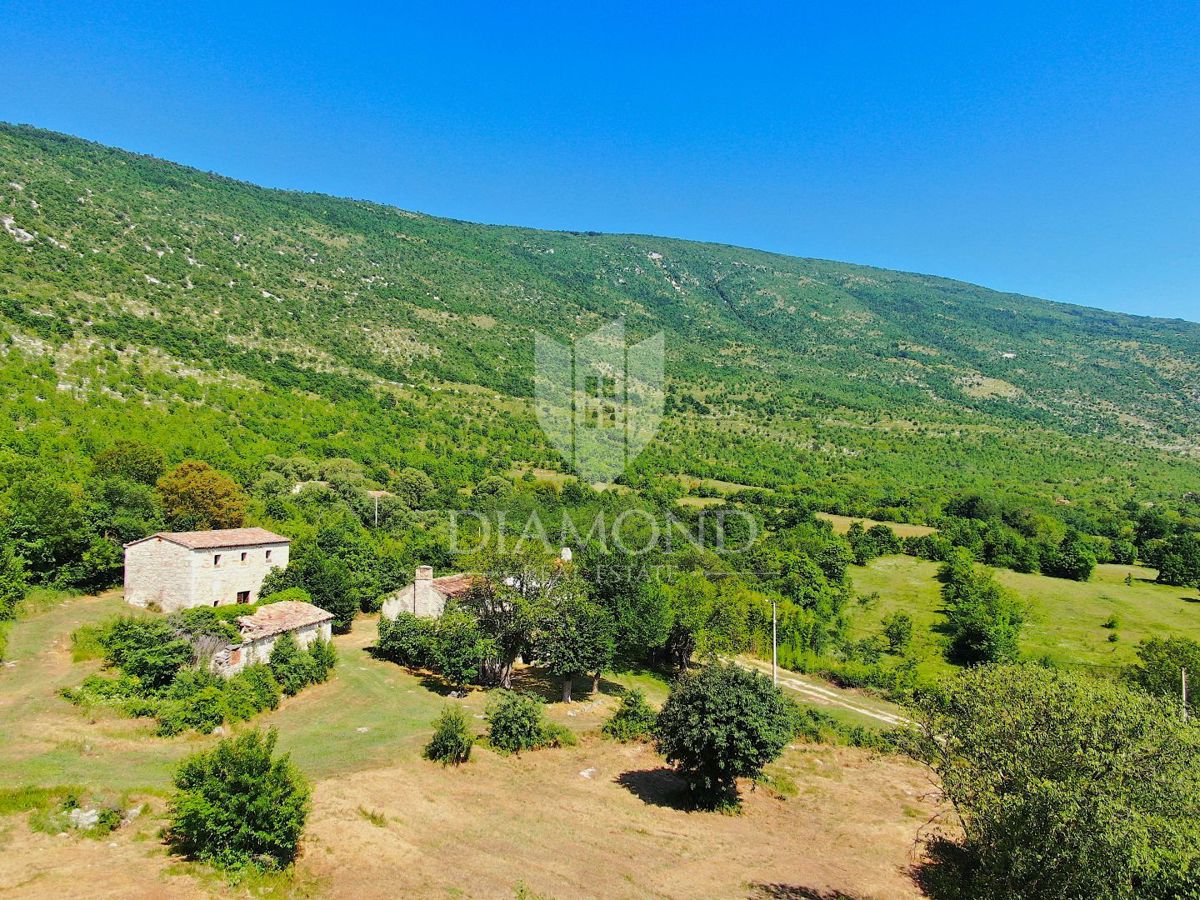 Labin, okolica, lepa posest s tremi objekti za obnovo