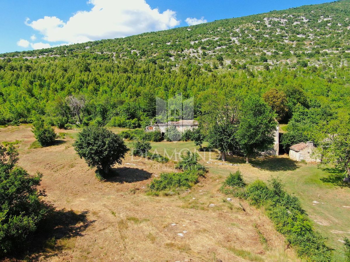 Labin, okolica, lepa posest s tremi objekti za obnovo