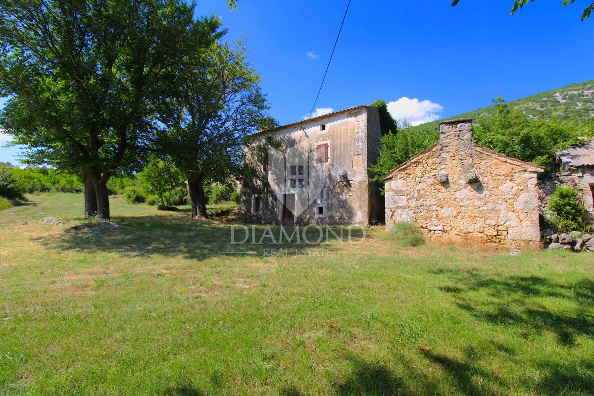 Labin, okolica, lepa posest s tremi objekti za obnovo