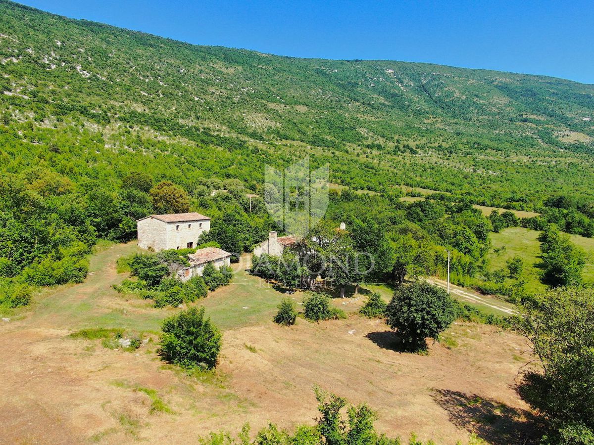 Labin, okolica, lepa posest s tremi objekti za obnovo