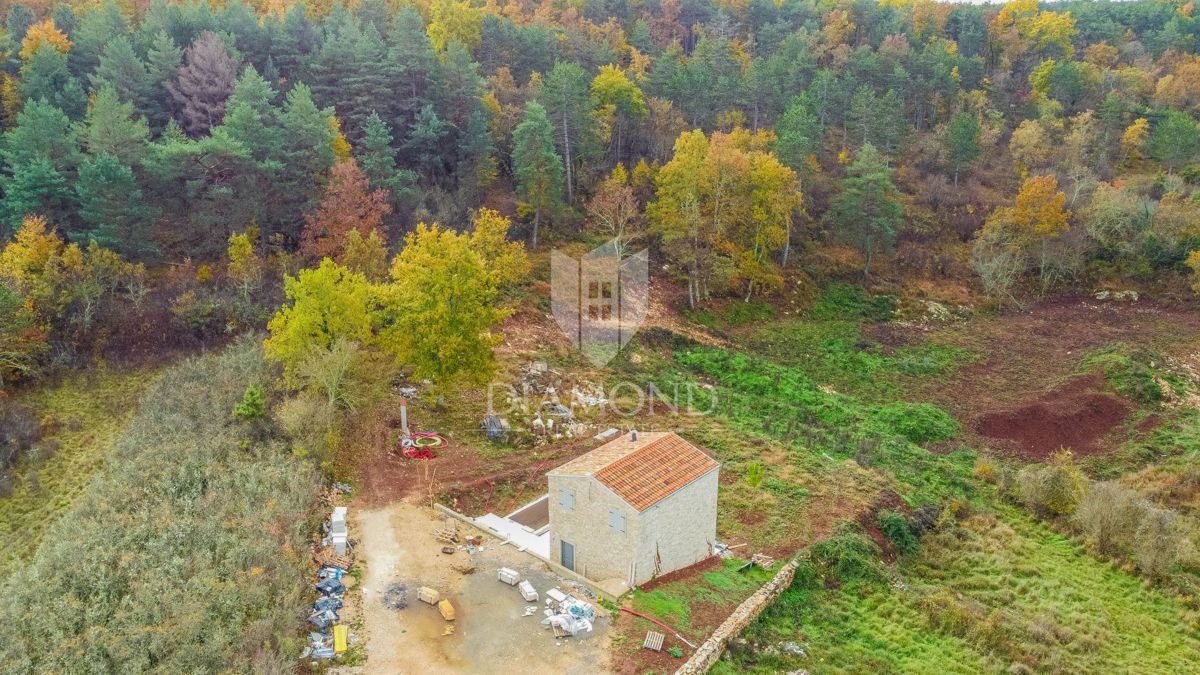 Momjan, okolica! Čudovita kamnita hiša obdana z naravo!