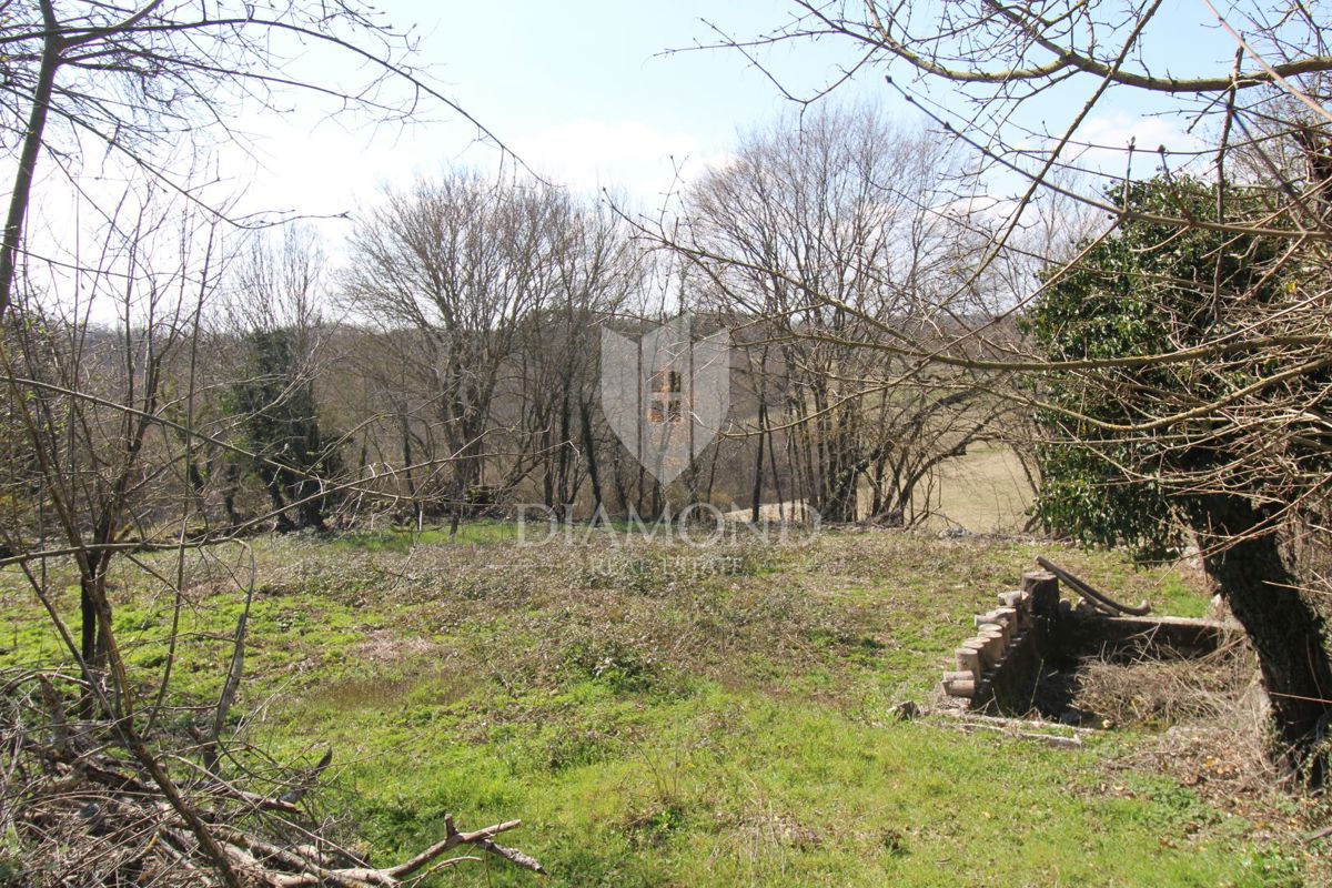 Osrednja Istra, okolica, hiša za adaptacijo s prostorno parcelo