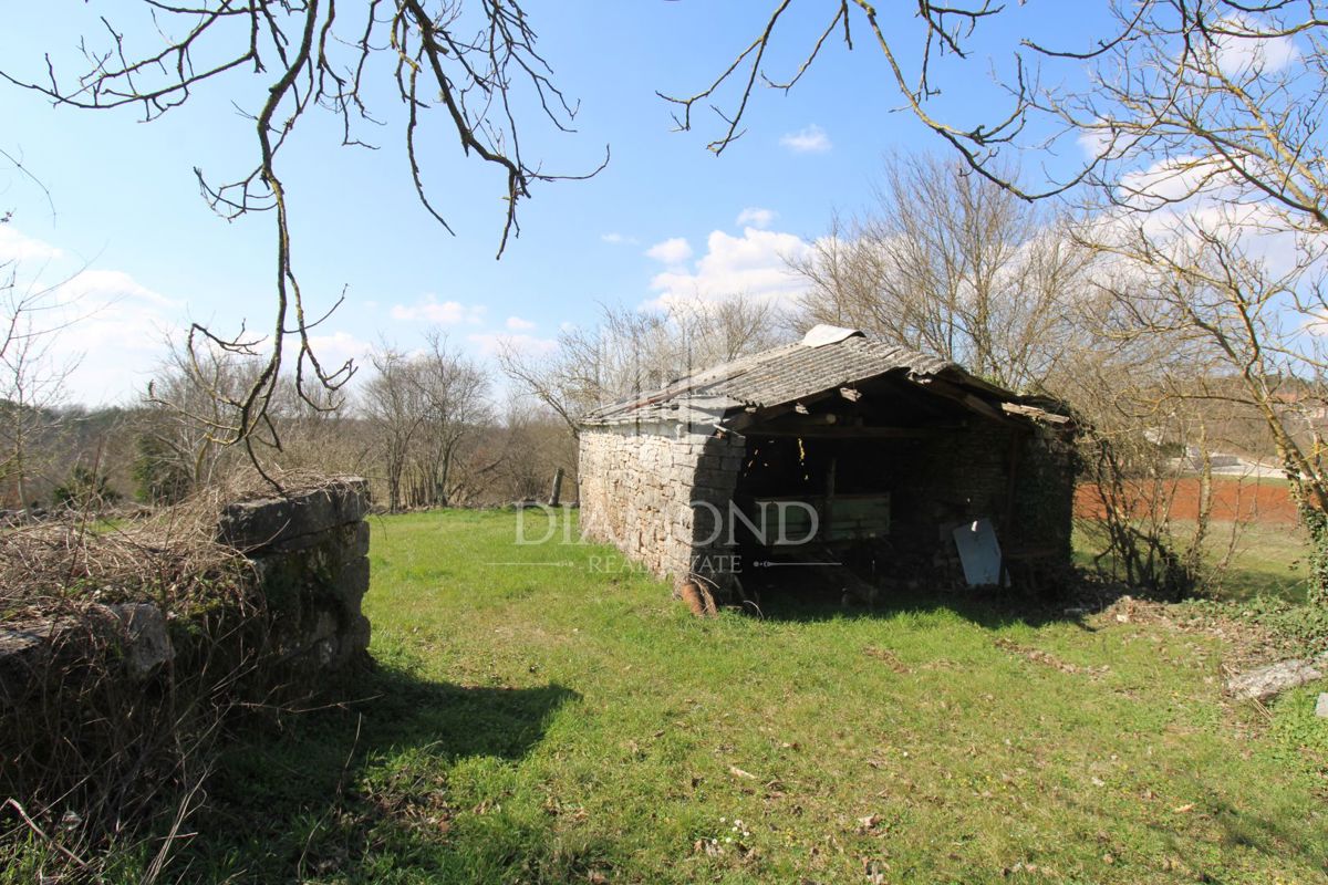 Osrednja Istra, okolica, hiša za adaptacijo s prostorno parcelo