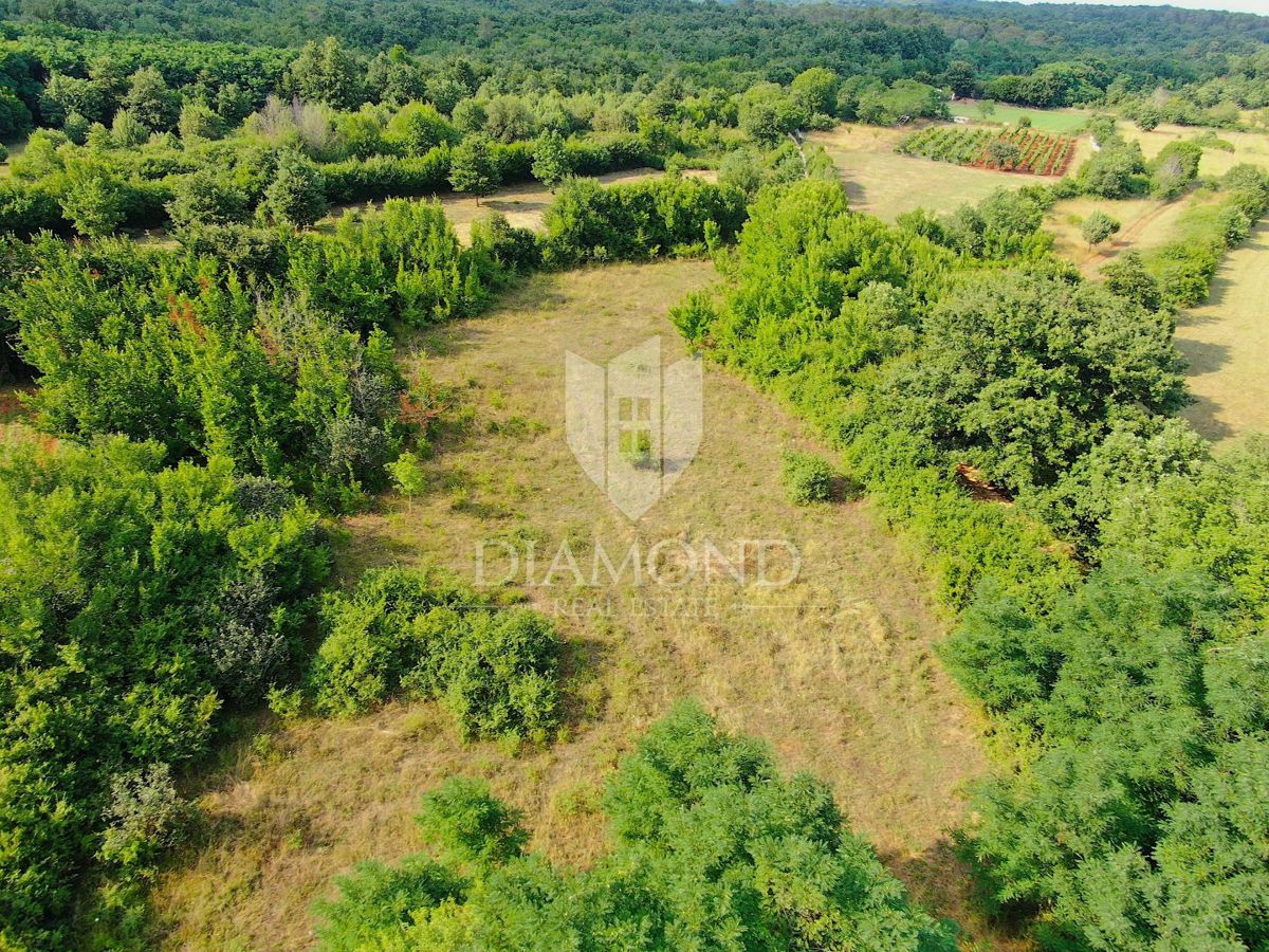 Marčana, okolica, zemljišče z gradbenim dovoljenjem