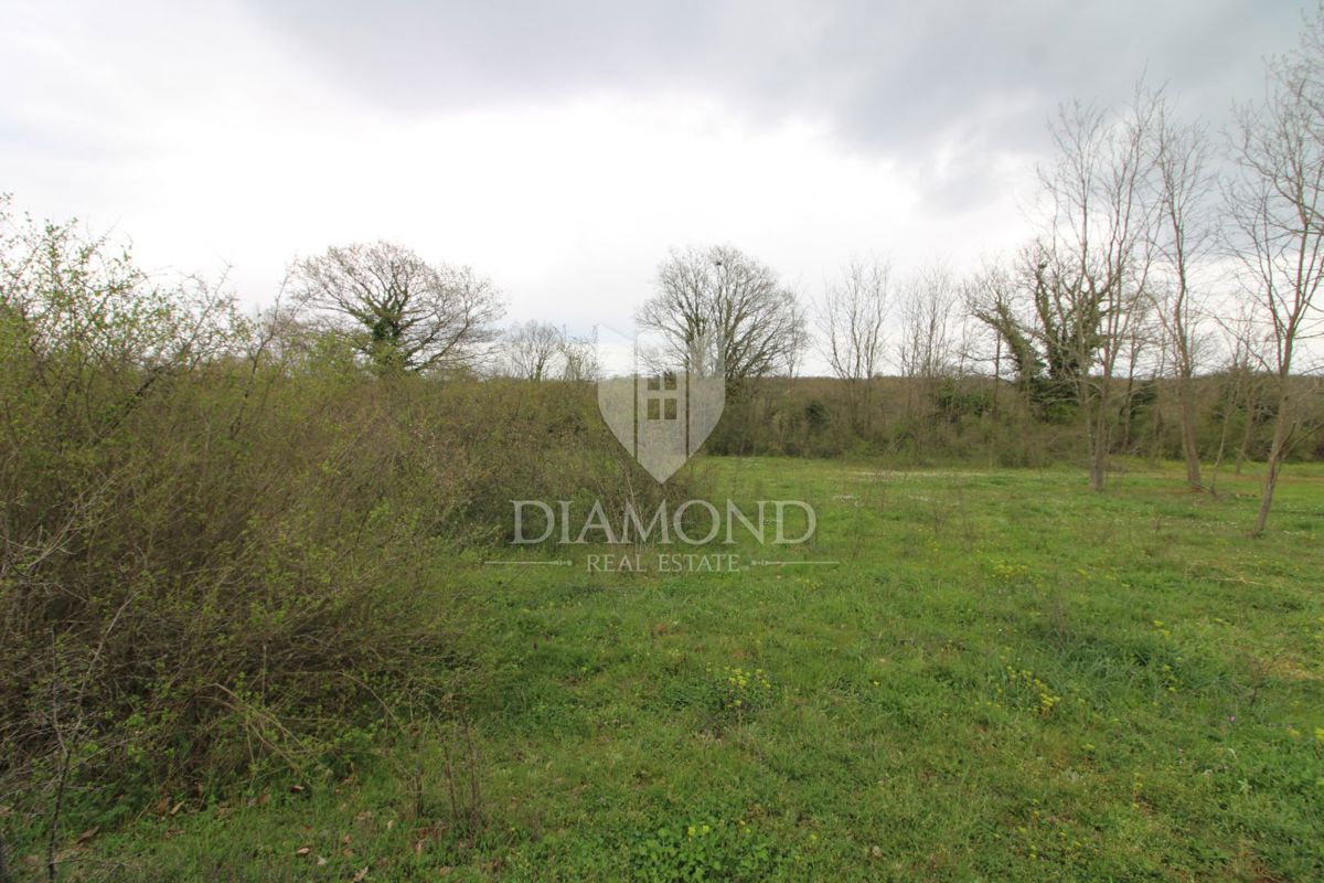 Marčana, okolica, zemljišče z gradbenim dovoljenjem