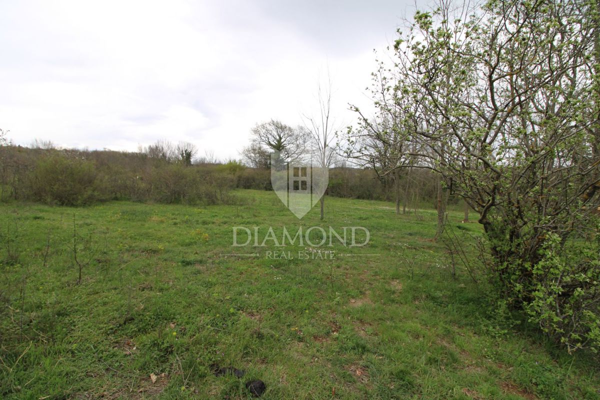 Marčana, okolica, zemljišče z gradbenim dovoljenjem